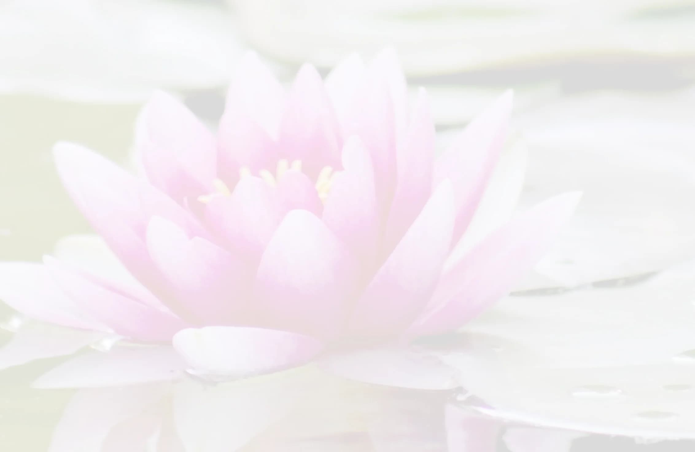 Érika Andrea — Terapeuta Holística de Sanazen